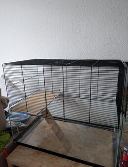 Terrarium bitte lesen 2 Stück - Ronneburg Zentrum