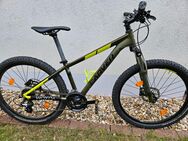 Carver Strikt 110 MTB - 26 Zoll (gebraucht) - Swisttal