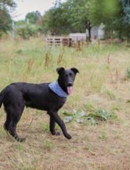 KEONI - mittendrin bin ich glücklich - Overath