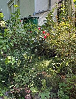 Schnell und entspannt in Berlin mit der Bahn ++ Modernes Reihenendhaus mit unverbaubaren Blick ++ - Wandlitz