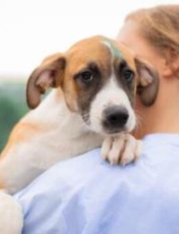 Hunde-Kind Benjamin Blümchen - München