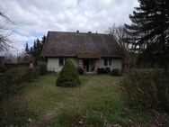 Hauptstadtmakler-Geräumiges Haus mit Pool und großem Grundstück - Bliesdorf