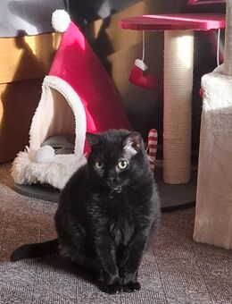 Sehr liebe, blinde Yazz ! - Bochum