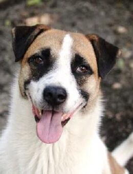 Jerry hat große Fortschritte gemacht! - Karben