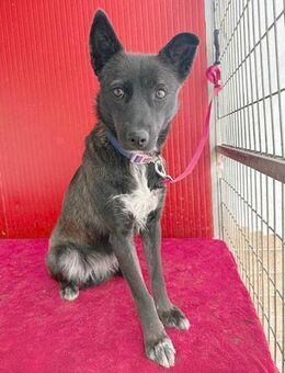 ❤️ wunderschöne elegante LOLA ❤️ - Mamming