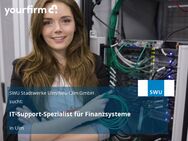 IT-Support-Spezialist für Finanzsysteme - Ulm