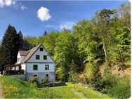 Ein Traum von Freiheit - Idyllisch gelegenes Landhaus in unmittelbarerer Nähe zum Naturpark Diemelsee! - Willingen (Upland)
