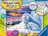 Ravensburger Malen nach Zahlen Niedliche Robben, Made in Europe