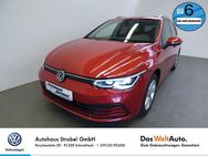 VW Golf VIII Variant 2.0 TDI DSG Life AHK ACC Navi LED-Matrix DAB+Lane Ass. Keyless - Schnaittach