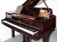 Flügel Klavier Steinway & Sons O-180 Palisander, 5 Jahre Garantie - Egestorf