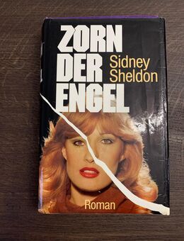Buch: Sidney Sheldon - Zorn der Engel - Vilshofen (Donau) Zentrum