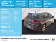 VW Golf, 2.0 TDI VIII Life, Jahr 2024 - Mannheim