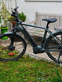 Kalkhoff Integrale 8 - Schwanstetten