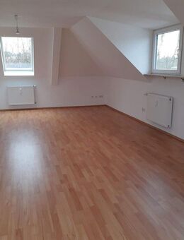 Schöne 2-Zimmerwohnung,für Single/Paar ab Februar/März zu vermieten - Zweibrücken