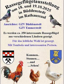 65 Jahre Geflügelzuchtverein Büddenstedt - Büddenstedt