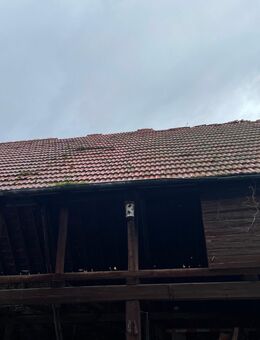 Ziegel aus Abriss Scheune abzugeben - Flonheim