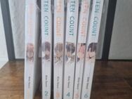 Komplette Manga Reihe Ten Count 1-6 - Boffzen