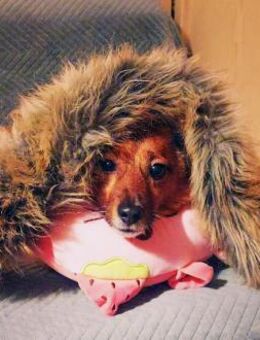 Lass ein Wintermärchen war werden - Stuttgart