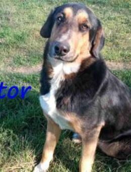 Victor-liebevoller Bub 07/23 GRC - Ruppertsecken