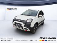 Fiat Panda, Base, Jahr 2024 - Gummersbach