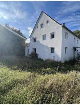 Ruhig gelegenes Zweifamilienhaus zwischen Memmingen und Ulm sucht Handwerker - Top Preisgelegenheit! - Balzheim