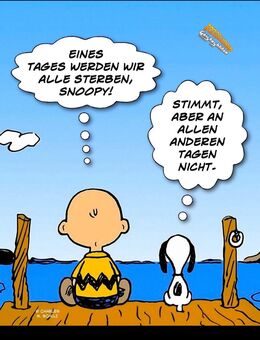 Gesucht...."ziemlich beste Freunde"...! - Baunatal Zentrum