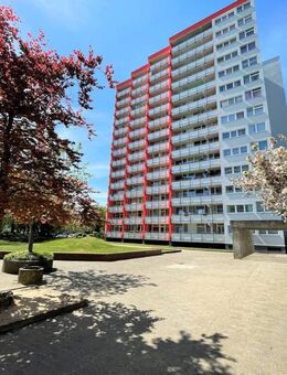 Schöne Aussicht inklusive - 3-Zimmer-Wohnung mit Balkon in Braunschweig! - Braunschweig