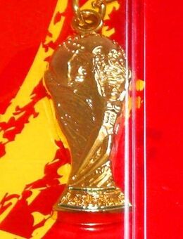 ⚽️⚽️⚽️ FIFA Schlüsselanhänger Fußball Pokal Key-Ring neu - Kösching