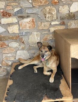 Baldo sucht das Glück - Bergkirchen