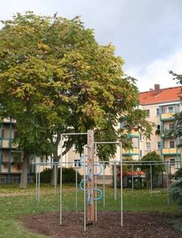 Nicht mehr renovieren - sofort einziehen! - Dessau-Roßlau