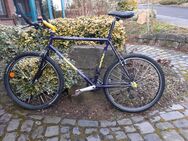 Gebrauchtes Mountainbike - Fulda