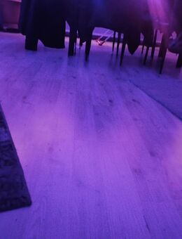 Suche eine Putzfee/Reinigungskraft - Leichlingen (Rheinland, Blütenstadt)