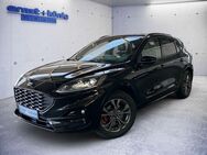 Ford Kuga ST-LINE X 2.0 EcoBlue 4x4 Aut.*AHK*LED*ACC* - Freiburg (Breisgau)