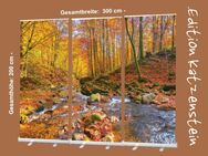 Bestatterbedarf: Roll-Up Display 3er-Set -"Bach im Herbstwald" zur Dekoration der Trauerfeier, Trauerhalle - Wilhelmshaven Zentrum