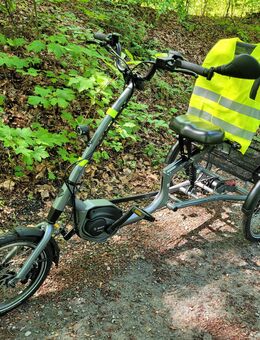 Pfautec Scoobo e-bike Dreirad, wie neu. Zu verkaufen - Osnabrück