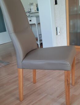 Esszimmer-Stühle gepolstert - Schmelz