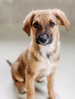 Emma ♥️ - Kallmünz