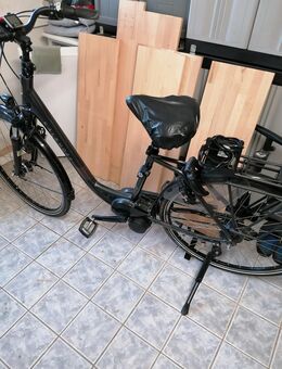 E Bike Damen Kalkhoff - Altenkirchen (Rheinland-Pfalz)