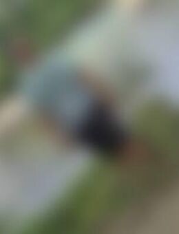 Der*** - Brandenburg (Havel)