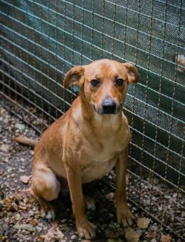 ELIO - in Gesellschaft ist mein Ding - Overath