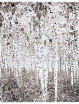 Art for the home Leinwandbild Birkenwald, Wald