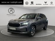 Skoda Kodiaq, 2.0 TDI Selection, Jahr 2024 - Oelsnitz (Erzgebirge)