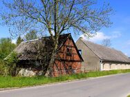 geräumiges Doppelhaus in ländlicher Idylle Nähe Grimmen - Süderholz