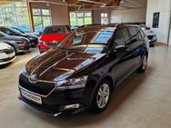 Skoda Fabia Kombi AMBITION PLUS Climatic PDC SML SHZ - Ichenhausen