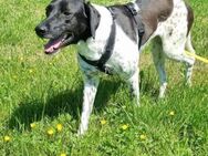 Nina sucht Herzensmenschen - Wettenberg
