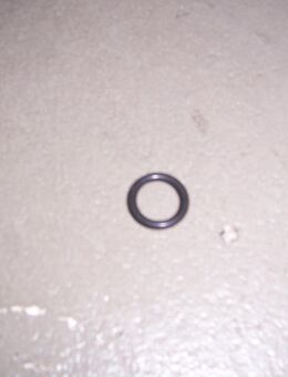 17081434 Dichtring für Daewoo/Chevrolet diverse Modelle - Hannover Vahrenwald-List