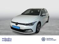 VW Golf, 2.0 TDI VIII Move, Jahr 2024 - Winsen (Luhe)