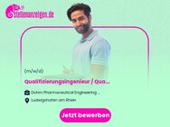 Qualifizierungsingenieur / Qualifizierer (m/w/d) - Ludwigshafen (Rhein)