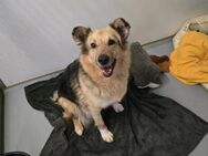 Seniorin Alicia sucht ihre Familie - Kallmünz