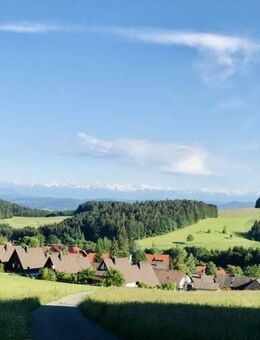 2 Zi Wohnung mit Terrasse in mitten der wundervollen Natur im Schwarzwald - Herrischried